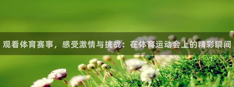 风速体育app下载官网最新版
