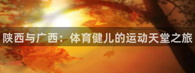 风速体育app下载安装最新版本