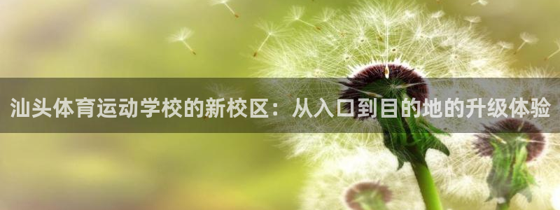 风速体育app下载安装最新版本
