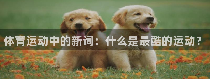 风速体育nba免费直播