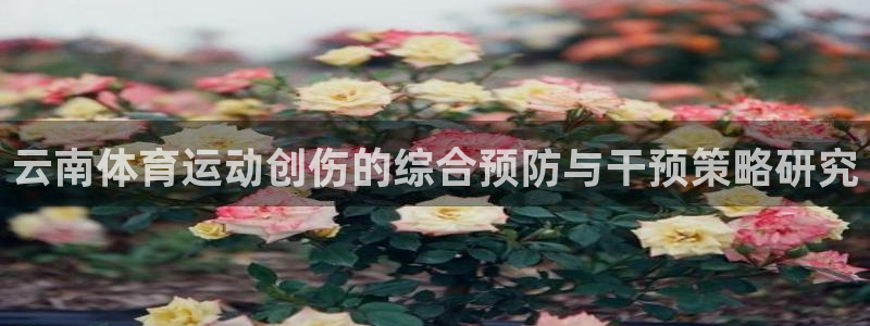 风速体育app下载官网最新版
