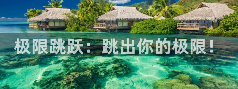 下载风速体育