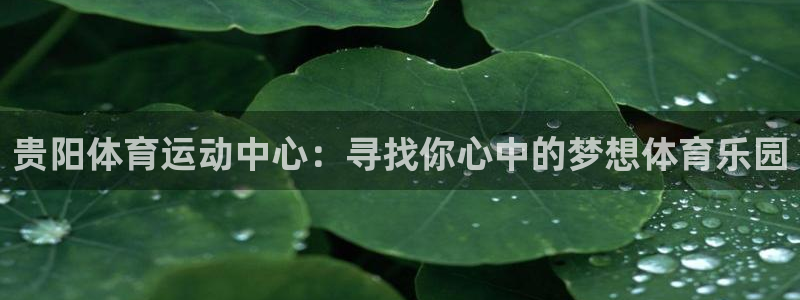 风速体育nba直播