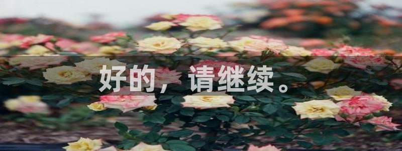 风速体育app下载安装最新版本