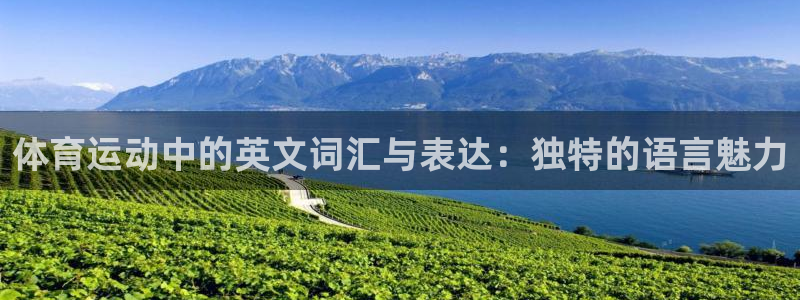风速体育下载