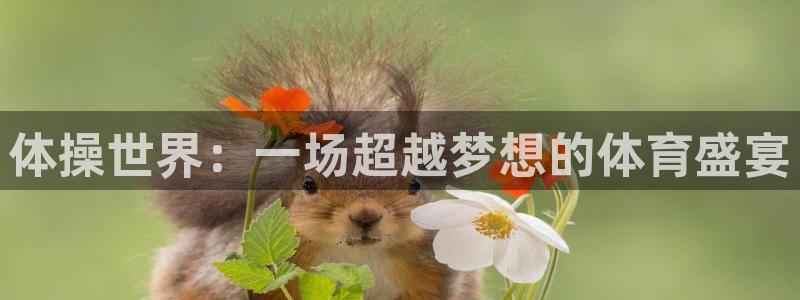风速体育app下载官网最新版