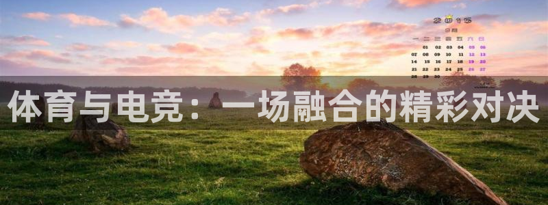 风速体育下载