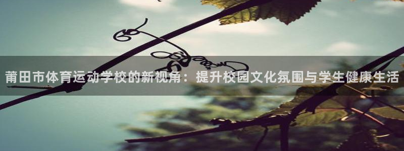风速体育
