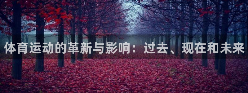 风速体育app官方下载