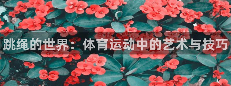 风速体育app