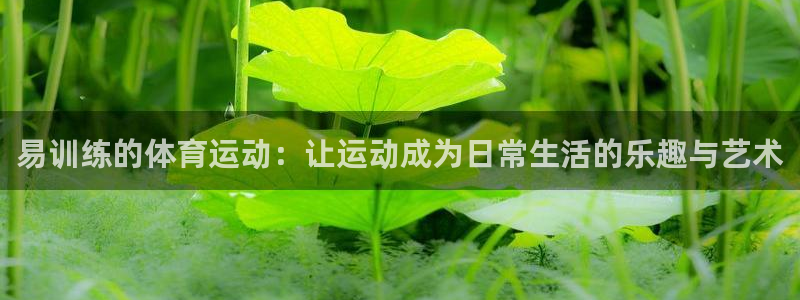 风速体育nba直播