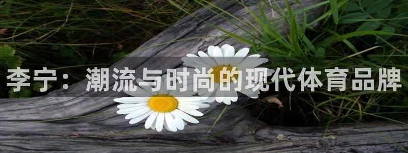 风速体育直播