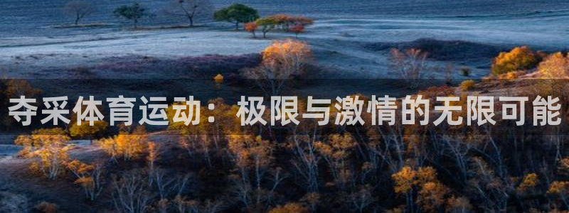 风速体育
