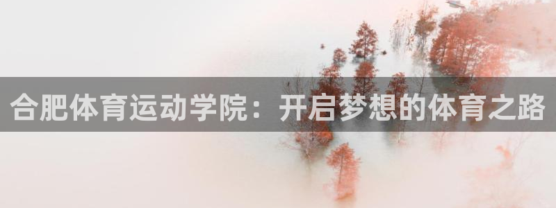 风速体育